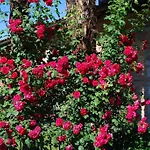 Hotel&hostel Montarina Hostel *