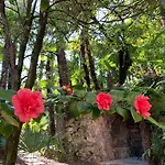 Hotel&hostel Montarina *