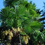 Hotel&hostel Montarina Hostel *