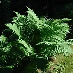 Hostel Hotel&hostel Montarina