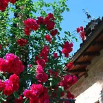 Hostel Hotel&hostel Montarina Λουγκάνο