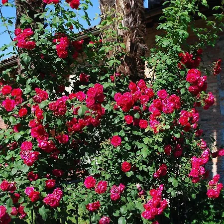 Hotel&hostel Montarina Хостел *