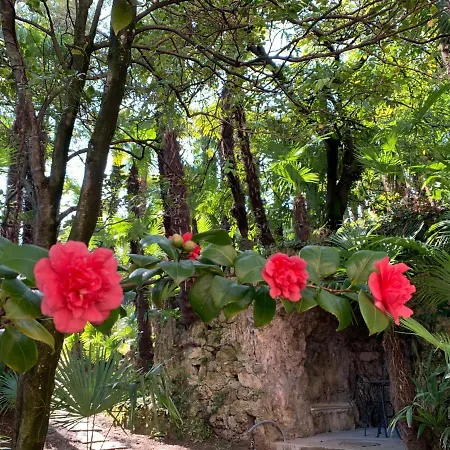 Hotel&hostel Montarina *