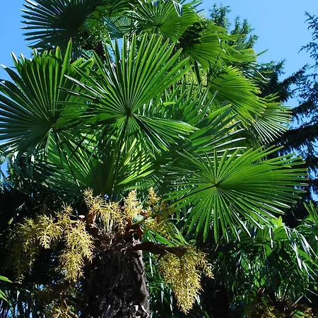 Hotel&hostel Montarina Hostel *