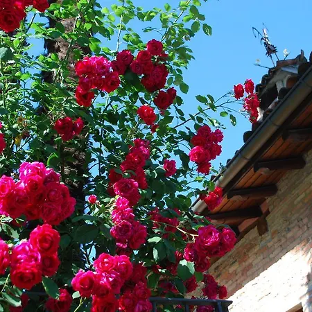 Хостел Hotel&hostel Montarina Лугано