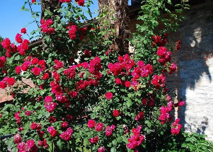 Hotel&hostel Montarina Ostello *