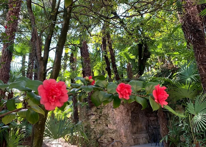 Hotel&hostel Montarina *