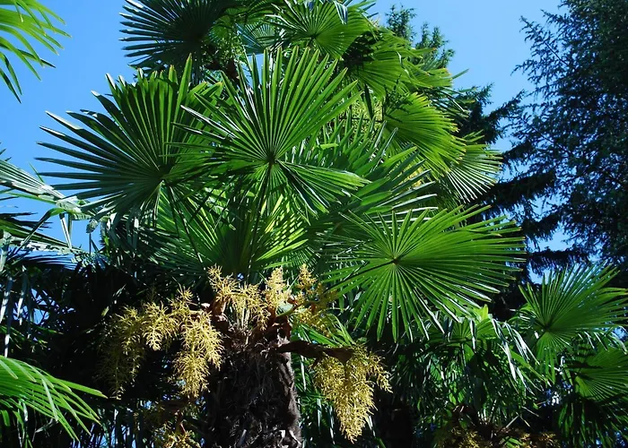 Hotel&hostel Montarina Hostel *