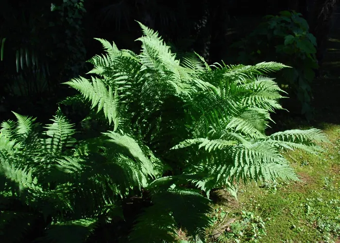 Ostello Hotel&hostel Montarina