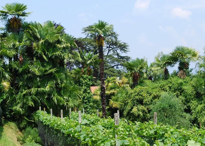 Hotel&hostel Montarina Ostello