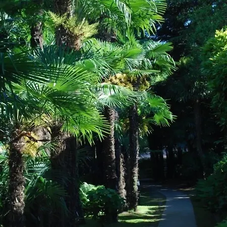 호텔&호스텔 몬타리나 * 루가노