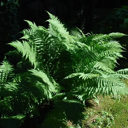 호스텔 호텔&호스텔 몬타리나