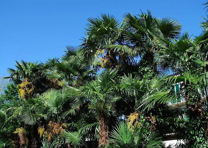 Hotel&hostel Montarina *