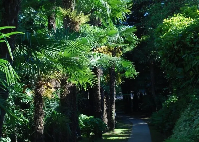 Hotel&hostel Montarina * לוגאנו