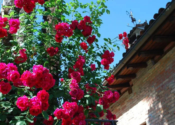 אכסניה Hotel&hostel Montarina לוגאנו